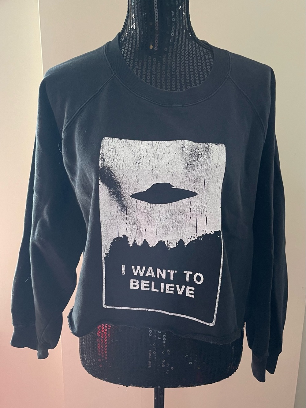 Black "I Want To Believe" UFO Graphic Cropped Sweatshirt Size L